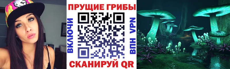 наркотики  MEGA онион  Галлюциногенные грибы мицелий  Астрахань 
