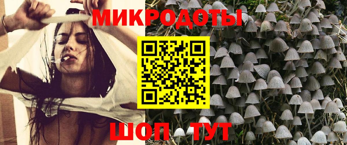 Астрахань  Галлюциногенные грибы Cubensis  Вход с VPN 